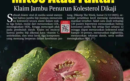 eKoran, Edisi Ahad, 7 Desember 2025