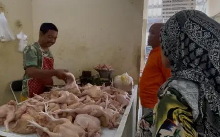 Program MBG Menjadi Salah Satu Faktor Harga Daging Ayam di Jombang Naik
