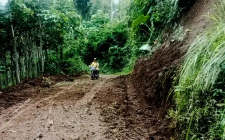 Sejumlah Titik Longsor di Wonoagung Tirtoyudo Malang Sudah Terbuka, R4 Kini Bisa Melintas