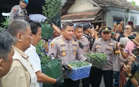 Budidaya Ganja Teknik Indoor Senilai Rp600 Juta di Jombang Dibongkar Polisi