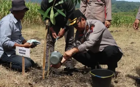 Peringati Hari Pohon Sedunia, PWI Nganjuk Gandeng Forkopimda Ajak Warga Lestarikan Alam