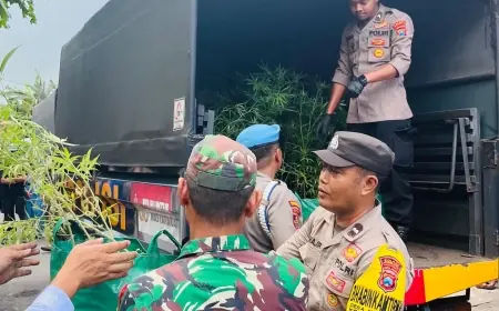 Rumah Kontrakan Disulap Jadi Kebun Ganja Indoor di Jombang, Kades Ungkap Tak Ada Lapor Izin Tinggal