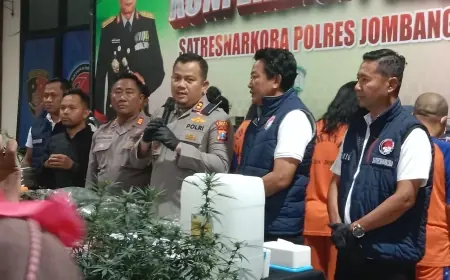 Polisi Tetapkan 4 Orang Tersangka Kasus Tanam Ganja Teknik Indoor di Jombang