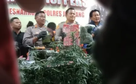 Kegagalan Rehabilitasi di Balik Suburnya Ladang Ganja di Kota Santri