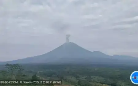 Gunung Semeru Erupsi Enam Kali dalam Dua Jam, Kolom Abu Capai 1.100 Meter