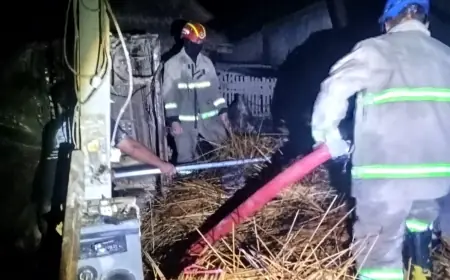 Lalai Matikan Bara Oven, Gudang Tusuk Sate di Blitar Ludes Terbakar