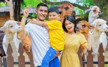 Mulai 1 Desember 2025, Jatim Park 2 Berlakukan Harga Tiket Baru