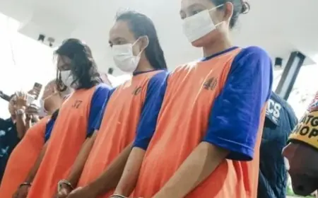 Temuan Ladang Ganja di Jombang, BNN Mojokerto Desak Pengawasan Kolektif