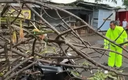 Cuaca Ekstrem, Pohon Tumbang di Mojokerto Timpa Pelajar