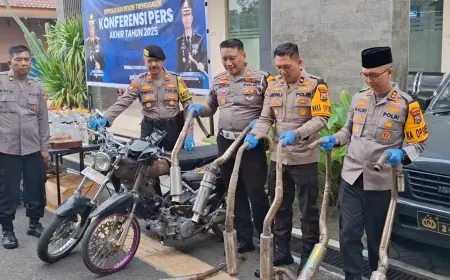 59 Orang Meninggal Akibat Kecelakaan Lalu Lintas di Trenggalek