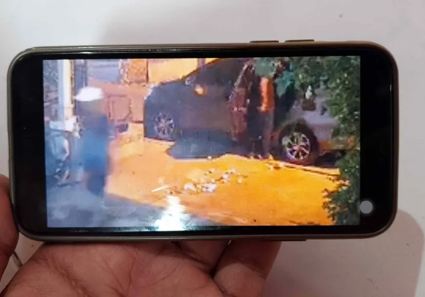 Maling Ribuan Telur Bebek di Mojokerto Terekam CCTV, Polisi Buru Pelaku