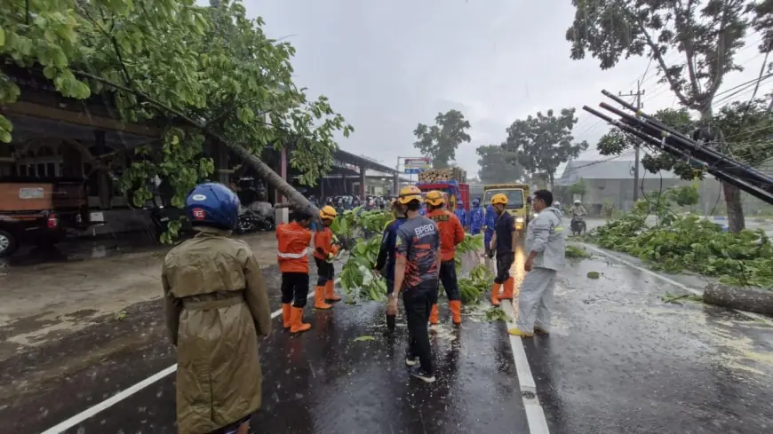 Angin Kencang Sebabkan Kerusakan di Enam Lokasi Bondowoso