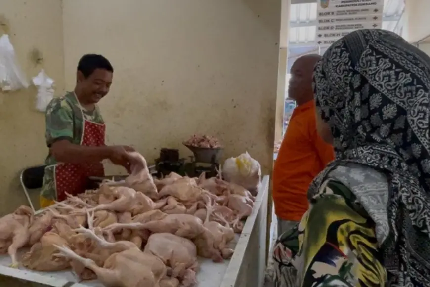 Program MBG Menjadi Salah Satu Faktor Harga Daging Ayam di Jombang Naik
