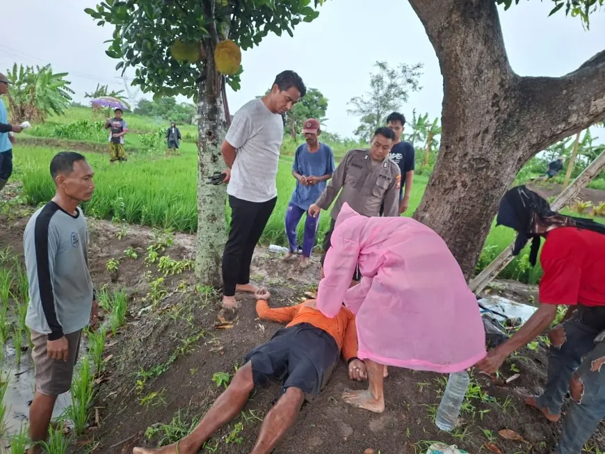 Petir Sambar Dua Petani di Gresik, Satu Tewas di Tempat