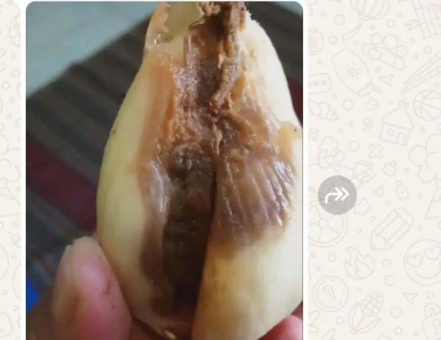 Program MBG di Jombang Terancam Gagal Penuhi Gizi, Makanan Busuk Dikeluhkan Wali Murid
