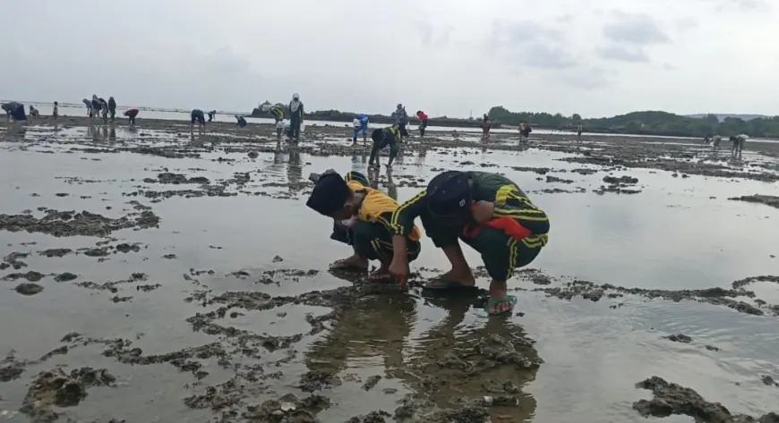 Lestarikan Tradisi Nelayan, Pelajar di Gresik Berlomba Mencari Kerang di Pesisir
