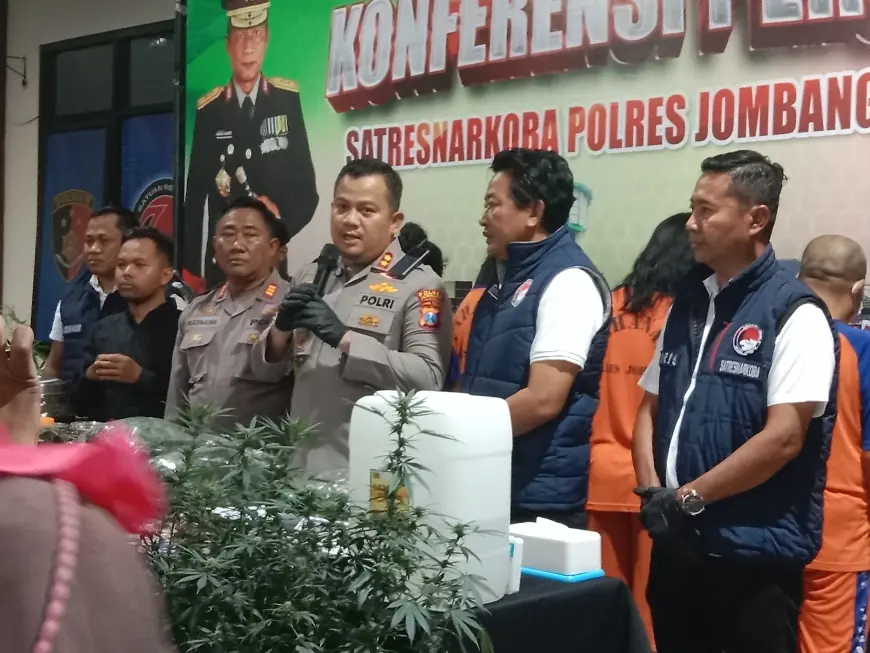 Polisi Tetapkan 4 Orang Tersangka Kasus Tanam Ganja Teknik Indoor di Jombang