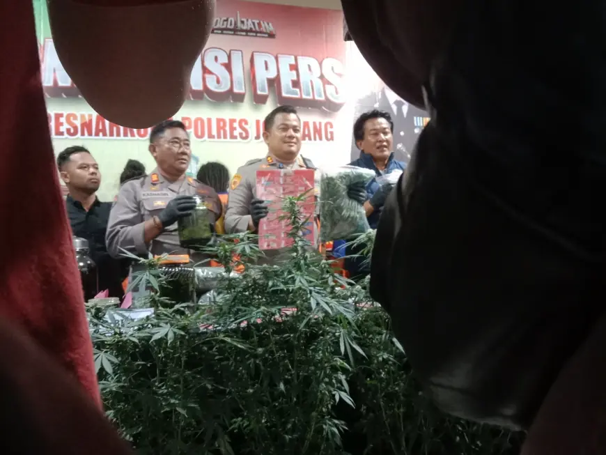 Pemodal Tanaman Ganja Senilai Rp6,5 Miliar di Jombang Ternyata Residivis yang Masih Leluasa Beraksi