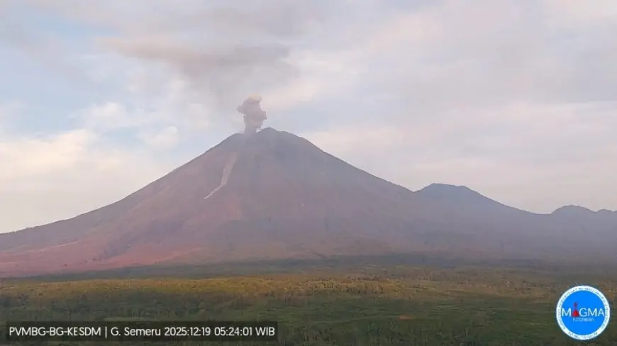 Gunung Semeru Erupsi Pagi Ini, Kolom Abu Capai 1.000 Meter