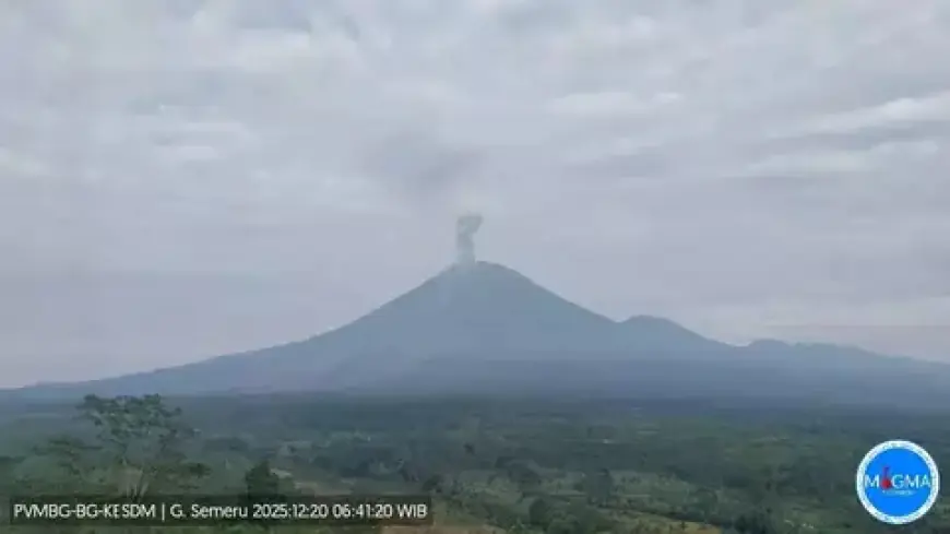 Gunung Semeru Erupsi Enam Kali dalam Dua Jam, Kolom Abu Capai 1.100 Meter