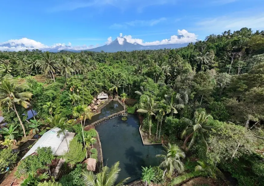 Destinasi Banyu Kuwung di Kaki Gunung Ijen: Kebun Selada yang Menjelma Menjadi Pesona Wisata