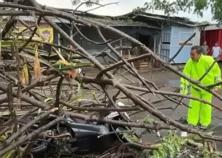 Cuaca Ekstrem, Pohon Tumbang di Mojokerto Timpa Pelajar