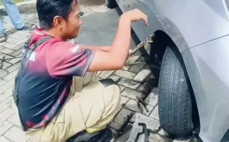 Damkar Surabaya Evakuasi Ular Piton di Mesin Mobil
