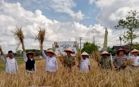 Kabupaten Malang Catat Surplus Beras 80 Ribu Ton