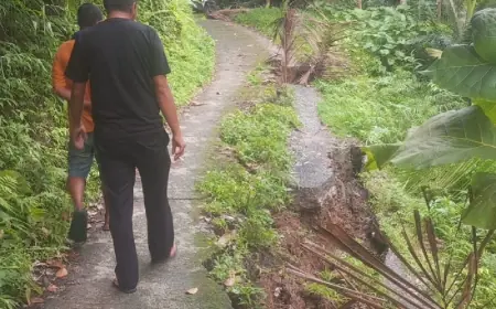 Sebulan Dua Kali Longsor di Pulau Bawean, BPBD Gresik Soroti Soal Penebangan Pohon