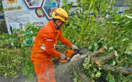 Angin Kencang Tumbangkan Pohon di Jalur Bondowoso–Jember, Lalu Lintas Sempat Tersendat