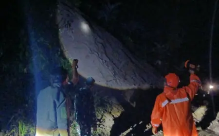 Akses Utama Wisata Bromo via Poncokusumo Putus Total Akibat Longsor Tebing 20 Meter