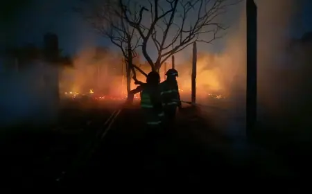 Kandang Ayam di Rejotangan Tulungagung Ludes Terbakar, Kerugian Capai Rp150 Juta