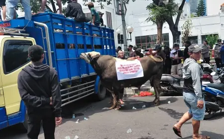 Membawa Sapi, Ratusan Jagal dan Pedagang Daging di Surabaya Luruk Gedung DPRD Tolak Relokasi RPH
