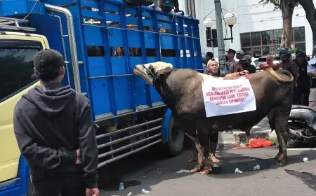 RPH Pastikan Stok Daging Aman di Surabaya Meski Jagal Mogok dan Gelar Protes Relokasi