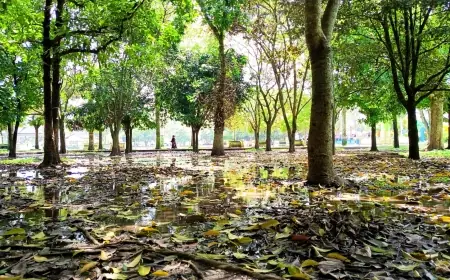 Komisi III DPRD Bondowoso Soroti Sampah, Jogging Track, hingga Wajah Kota