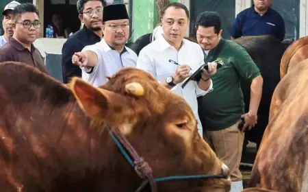 Relokasi RPH Pegirian Tak Bisa Dibatalkan, Pemkot Surabaya Prioritaskan Kawasan Ampel