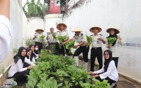 Rutan Kraksaan Probolinggo Panen Raya Sawi dan Kacang Panjang, Dukung Program Ketahanan Pangan Nasional
