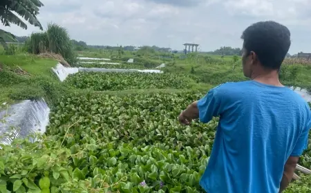 Proyek IPAL Tahu di Jombang Terancam Gagal, Srobot Lahan Warga hingga Telan Korban Jiwa