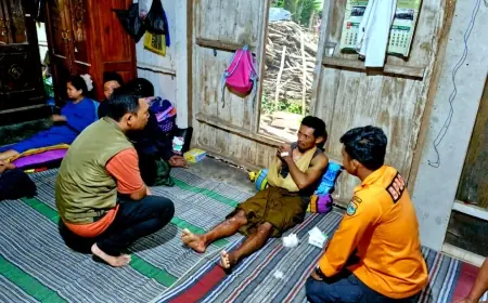 Angin Kencang di Wringin Bondowoso Robohkan Pohon Pete dan Lukai Pengendara