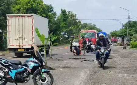 Aksi Protes Warga Ngawi, Tanam Pohon Pisang di Jalur Nasional Akibat Kerusakan Menahun