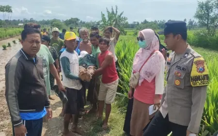 Mayat Tergeletak di Sawah Gegerkan Warga Jember