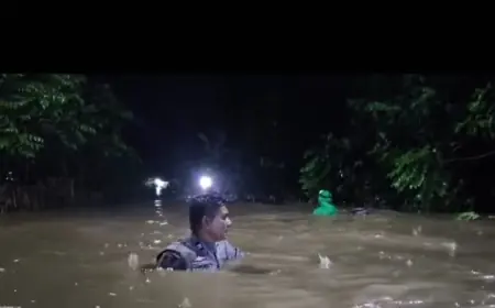 Dampak Banjir yang Terjang 7 Kecamatan di Probolinggo: Lahan Pertanian Seluas 2.500 Hektare Terancam Rusak