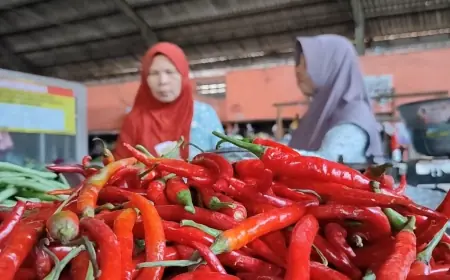 Jelang Ramadan 2026, Harga Cabai dan Kebutuhan Pokok di Bondowoso Mulai Naik