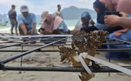 Pelindo Turun Tangan di Pantai Mutiara, Jaga Terumbu Karang Bersama Warga Trenggalek
