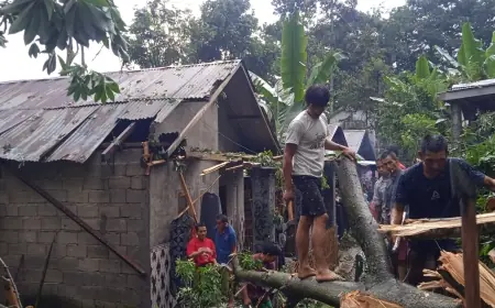 Diterjang Angin Kencang, Dua Rumah di Pasrepan Pasuruan Rusak Tertimpa Pohon