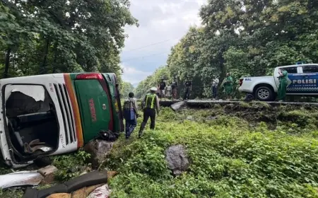 Bus Lorena Jurusan Bali - Jakarta Terguling di Hutan Baluran