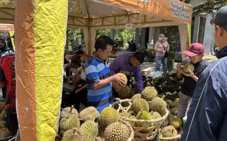 Lereng Kelud Panen Berkah,  Bazar Durian Sumberasri Blitar Diserbu Warga