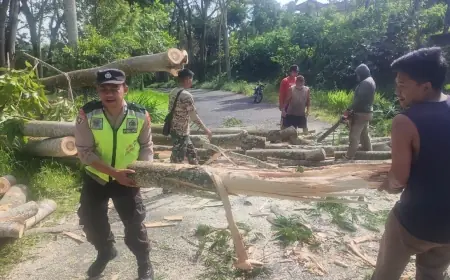 Gerak Cepat Polisi dan Warga, Pohon Tumbang di Blitar Berhasil Dievakuasi