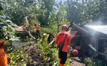 Sejumlah Wilayah di Blitar Diterjang Angin Kencang, Rumah Warga dan Fasilitas Umum Rusak