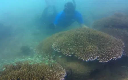 Cerita Pokmaswas Rembeng Raya Pantai Mutiara Trenggalek yang Menjaga Laut dengan Hati